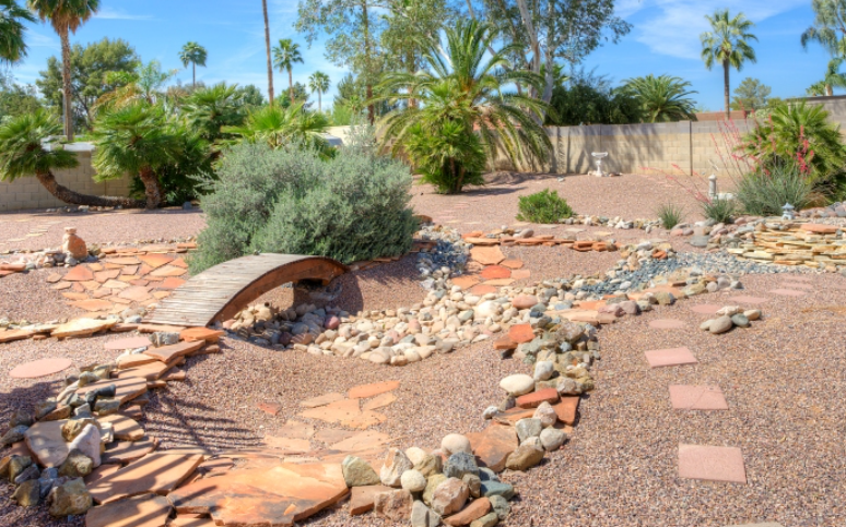 Team working on desert planting
