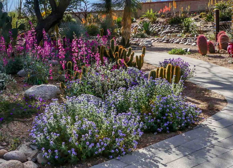 Soil and irrigation planning